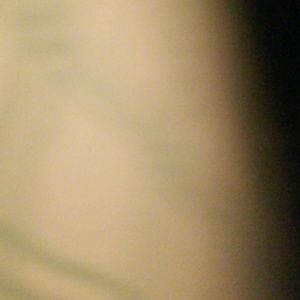 Meet your Posher, Beza